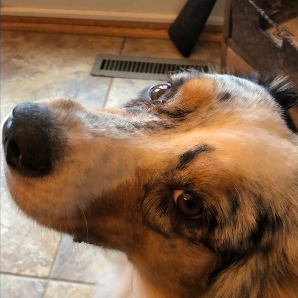 Meet your Posher, Kathleen